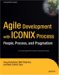 Agile Development with the ICONIX Process : People, Process, and Pragmatism cover