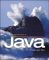An Introduction to Object-Oriented Programming With Java cover