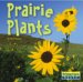 Prairie Plants cover