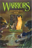 A Dangerous Path [Click for larger image]