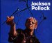Jackson Pollock cover