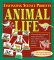 Animal Life cover