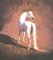 Horses of the Sun : A Gallery of the World's Most Ex1Uisite Equines cover