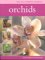  Orchids
