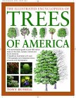 The Illustated Encyclopedia Of Trees Of The Americas [Click for larger image]