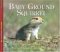 Baby Ground Squirrel cover