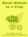 Black Walnut As a Crop cover