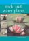 Rock and Water Plants cover