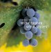Wine Tastes Wine Styles cover