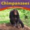 Chimpanzees : Living in Communities cover