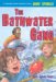 Bathwater Gang cover
