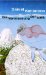 Die Vermessung Der Welt : Roman cover