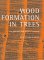 Wood Formation in Trees : Cell and Molecular Biology Techniques cover