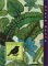 Aleutian Sparrow cover