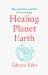 Healing Planet Earth : Macrobiotics and the New Ecology cover