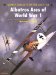 Albatros Aces of World War I cover