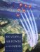 100 Years of Air Power & Aviation cover