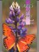 The ABC's of Grief : A Handbook for Survivors cover