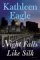 Night Falls Like Silk cover