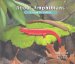 About Amphibians : A Guide for Children cover