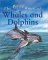 The Best Book of Whales and Dolphins