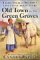 Old Town in the Green Groves : Laura Ingalls Wilder's Lost Little House Years cover
