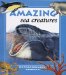Amazing Sea Creatures cover
