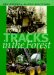 Tracks in the Forest : The Evolution of Logging Equipment cover