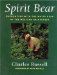 Spirit Bear : Encounters With the White Bear of the Western Rainforest cover