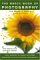 Basic Book of Photography 2004 cover