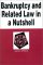 Bankruptcy and Related Law in a Nutshell : (Successor to Debtor-Creditor Law in a Nutshell) cover