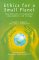 Ethics for a Small Planet : New Horizons on Population, Consumption, and Ecology cover