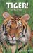 Tiger! 2002 Desk Diary cover