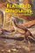  Feathered Dinosaurs: The Origin of Birds
