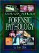 Gender, Physical Activity, and Aging cover