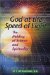 God at the Speed of Light : The Melding of Science and Spirituality cover