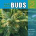 The Big Book Of Buds : More Marijuana Varieties From The World's Great Seed Breeders cover