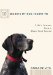 10 Secrets My Dog Taught Me : Life's Lessons from a Man's Best Friend cover