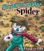 The Scarecrow And The Spider cover