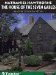 The House of the Seven Gables : Library Edition cover