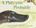 Platypus, Probably cover