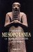 Mesopotamia : La escritura, la razon y los dioses / The Scripture, the Reason and The Gods cover