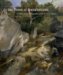 In the Forest of Fontainebleau : Painters and Photographers from Corot to Monet cover