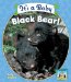 It's a Baby Black Bear! cover