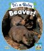 It's a Baby Beaver! cover