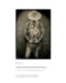 Still : Cowboys at the Start of the Twenty-first Century cover