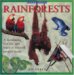 Rainforests cover