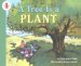 Tree Is a Plant cover