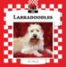 Labradoodles cover