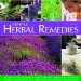 Simple Herbal Remedies : An Easy-to-follow Guide to Using Everyday Herbs to Heal Common Ailments, With Expert Safe Advice and 150 Colour Photographs cover